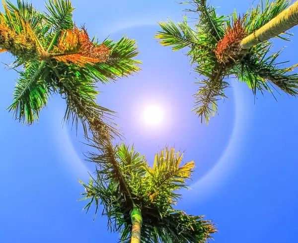 三亚亚诺达景区_三亚呀诺达旅游攻略_三亚旅游呀诺达