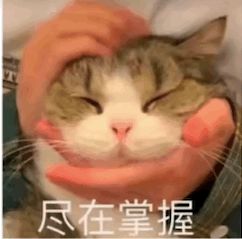 乌鲁木齐天山牧场旅游攻略_商洛九天山旅游攻略_新疆天山旅游攻略