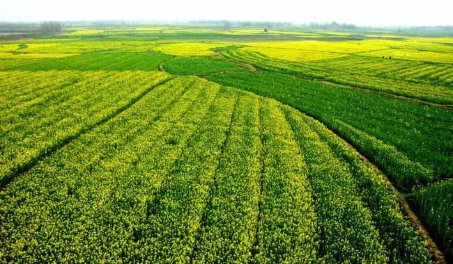 时尚文化墙创意设计图片_时尚文化艺术_时尚文化厅