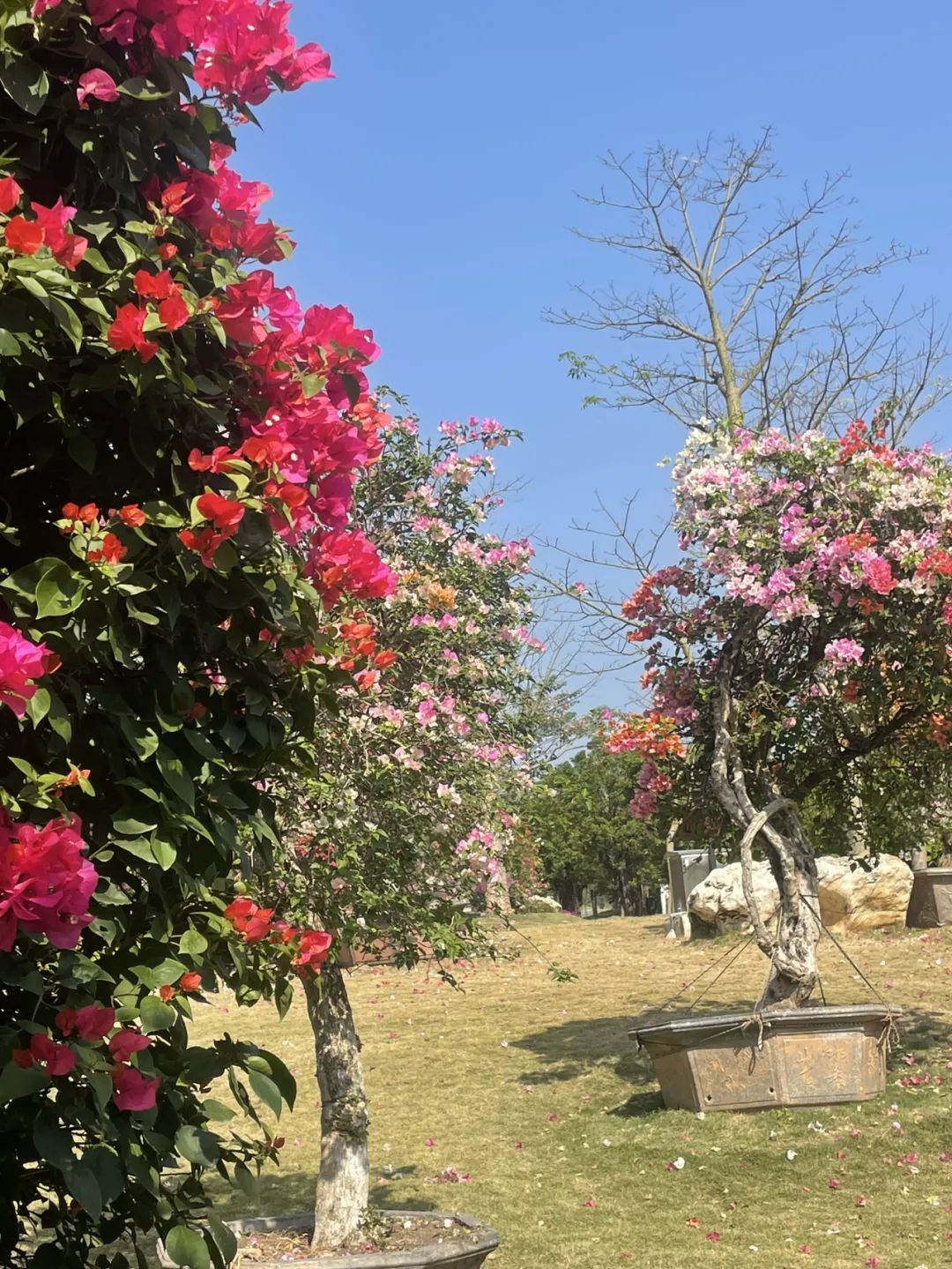 南宁到黄果树瀑布旅游攻略_南宁到黄果树旅游攻略_黄果树到南宁沿途有的景点