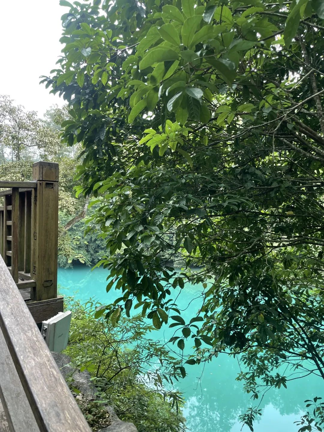 南宁到黄果树旅游攻略_南宁到黄果树瀑布旅游攻略_黄果树到南宁沿途有的景点