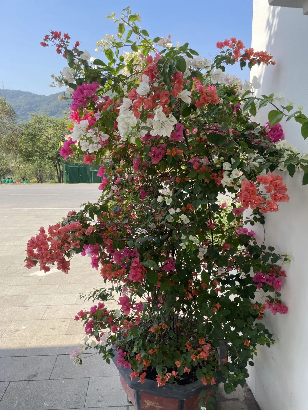 黄果树到南宁沿途有的景点_南宁到黄果树瀑布旅游攻略_南宁到黄果树旅游攻略