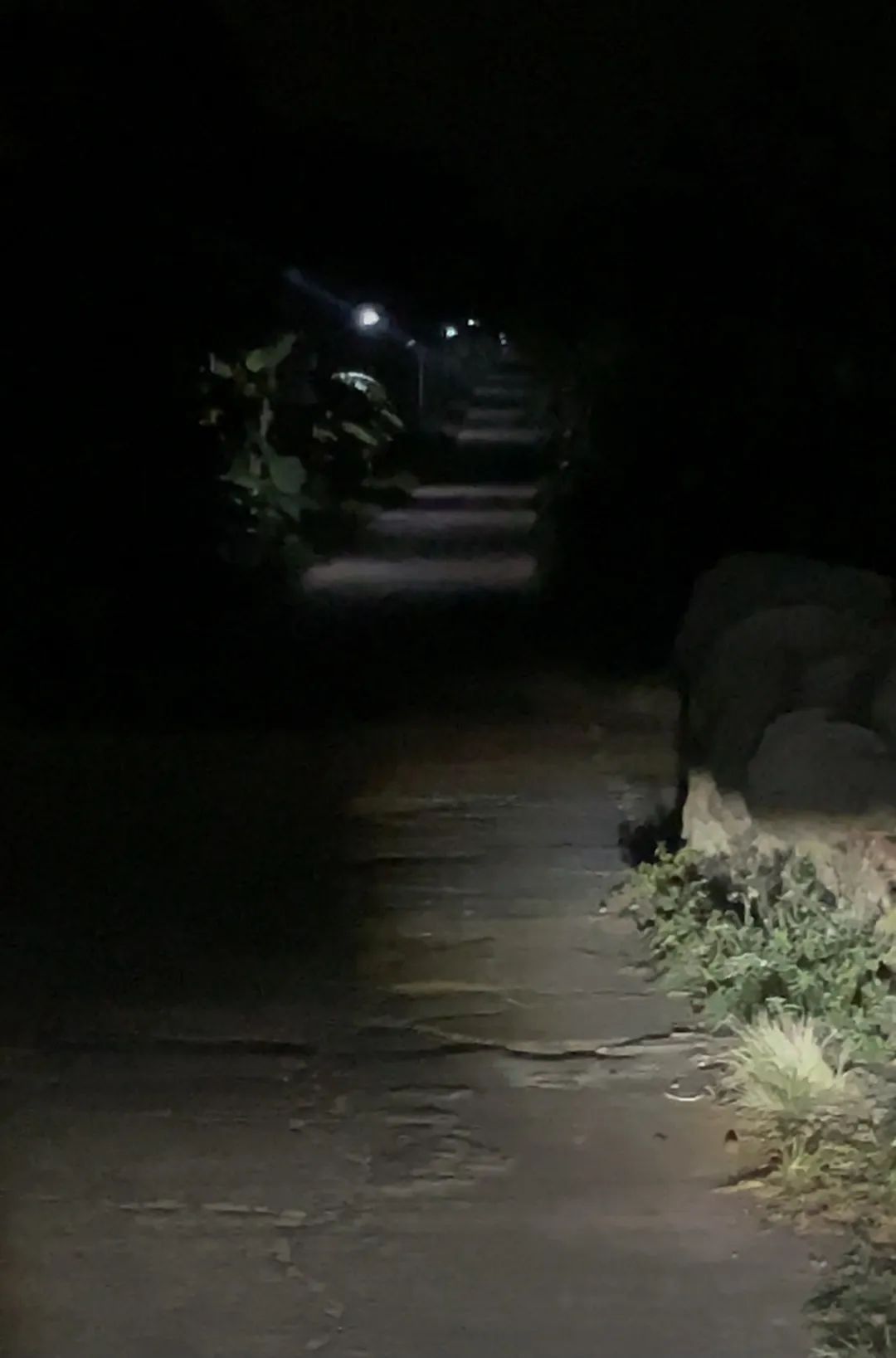 南宁到黄果树瀑布旅游攻略_黄果树到南宁沿途有的景点_南宁到黄果树旅游攻略