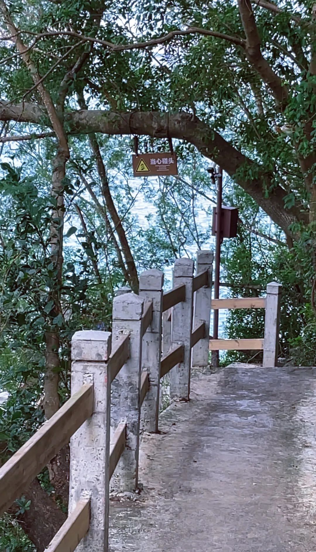 黄果树到南宁沿途有的景点_南宁到黄果树旅游攻略_南宁到黄果树瀑布旅游攻略