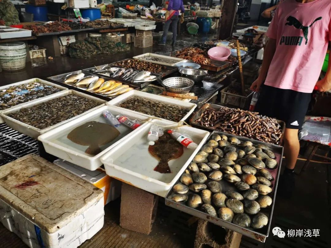 长岛旅游线路推荐_长岛旅游攻略相关推荐_长岛推荐景点