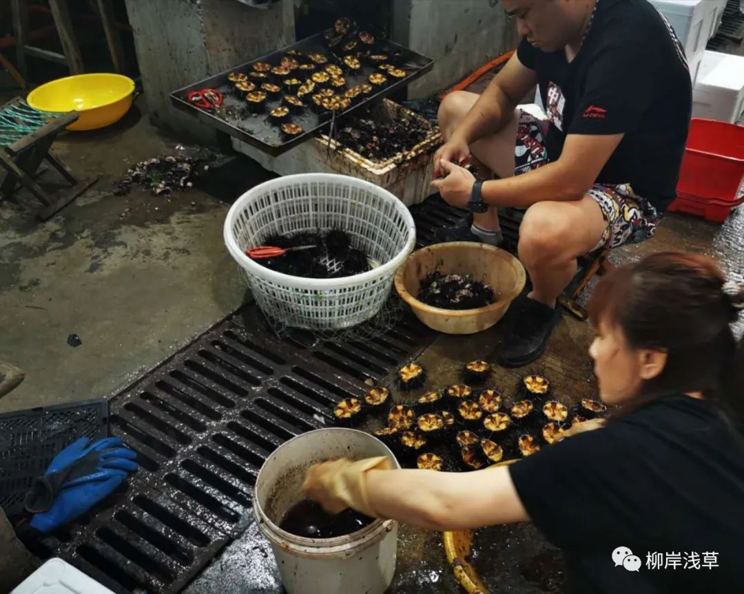 长岛旅游攻略相关推荐_长岛旅游线路推荐_长岛推荐景点
