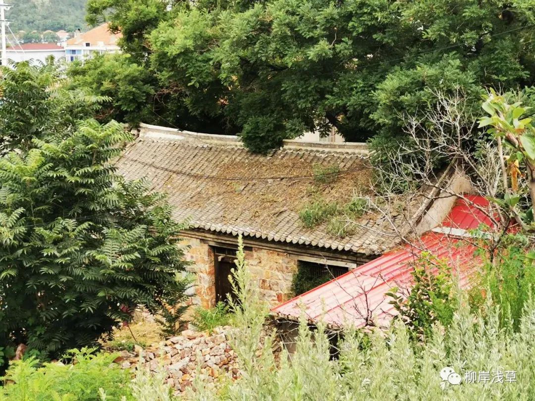 长岛旅游线路推荐_长岛推荐景点_长岛旅游攻略相关推荐