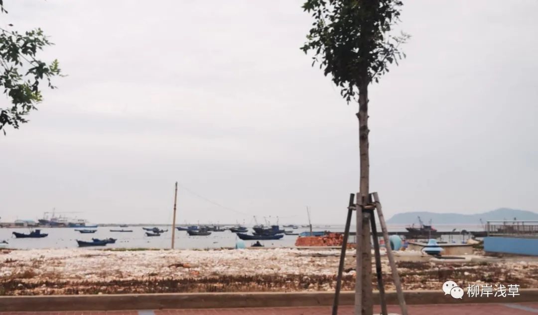 长岛推荐景点_长岛旅游攻略相关推荐_长岛旅游线路推荐