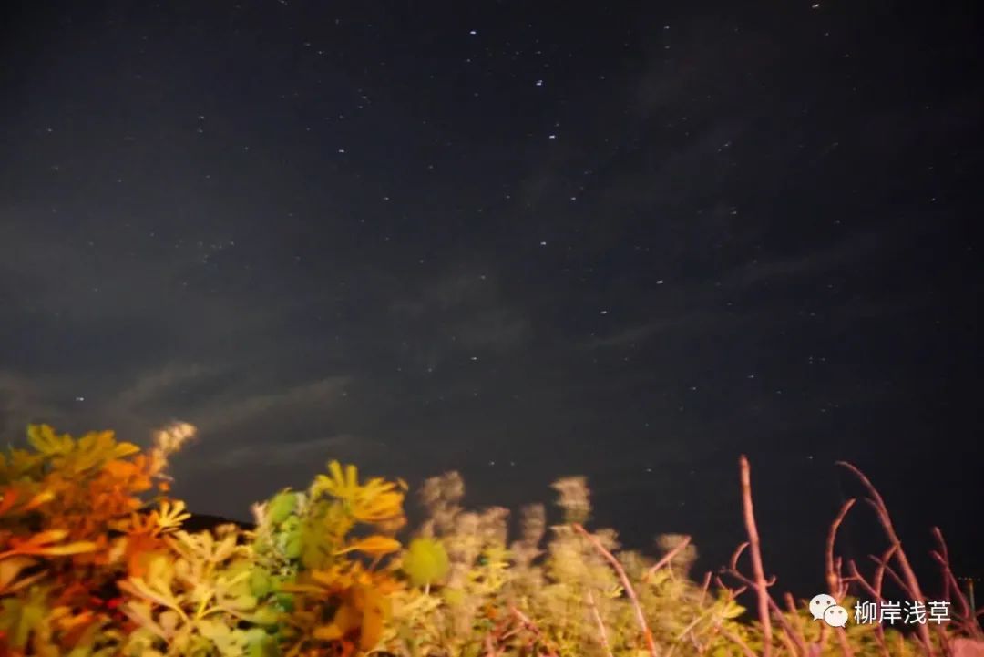 长岛旅游攻略相关推荐_长岛推荐景点_长岛旅游线路推荐