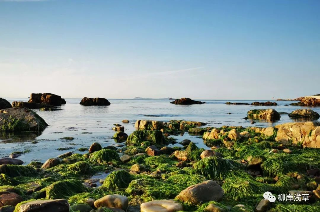 长岛推荐景点_长岛旅游攻略相关推荐_长岛旅游线路推荐