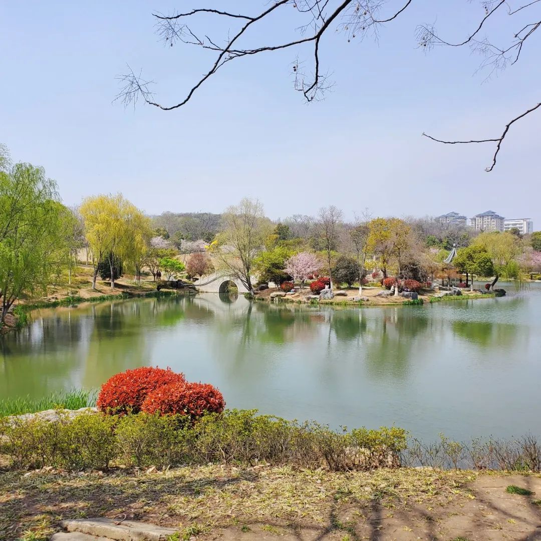 镇江西津渡旅游攻略_镇江西津渡门票价格_镇江旅游攻略必玩的景点西津渡