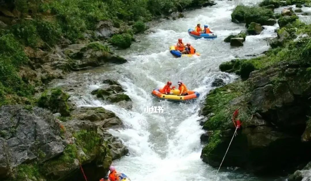 荔波茂兰国家级自然保护区旅游_荔波茂兰旅游风景区_荔波茂兰旅游攻略