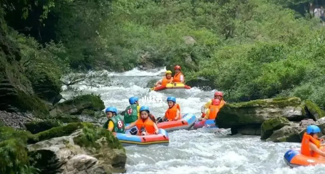 荔波茂兰旅游风景区_荔波茂兰国家级自然保护区旅游_荔波茂兰旅游攻略