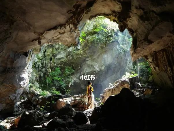 荔波茂兰旅游风景区_荔波茂兰旅游攻略_荔波茂兰国家级自然保护区旅游