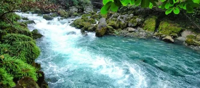 荔波茂兰旅游风景区_荔波茂兰旅游攻略_荔波茂兰国家级自然保护区旅游