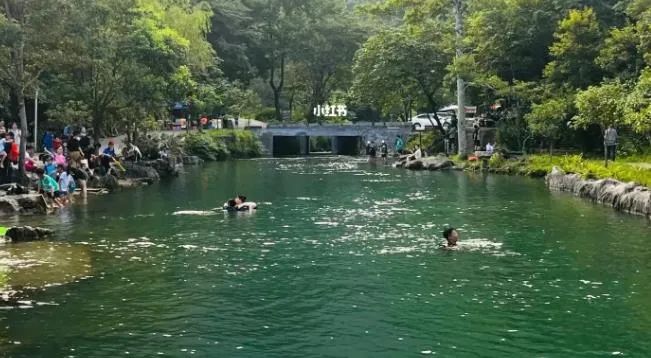 荔波茂兰国家级自然保护区旅游_荔波茂兰旅游风景区_荔波茂兰旅游攻略