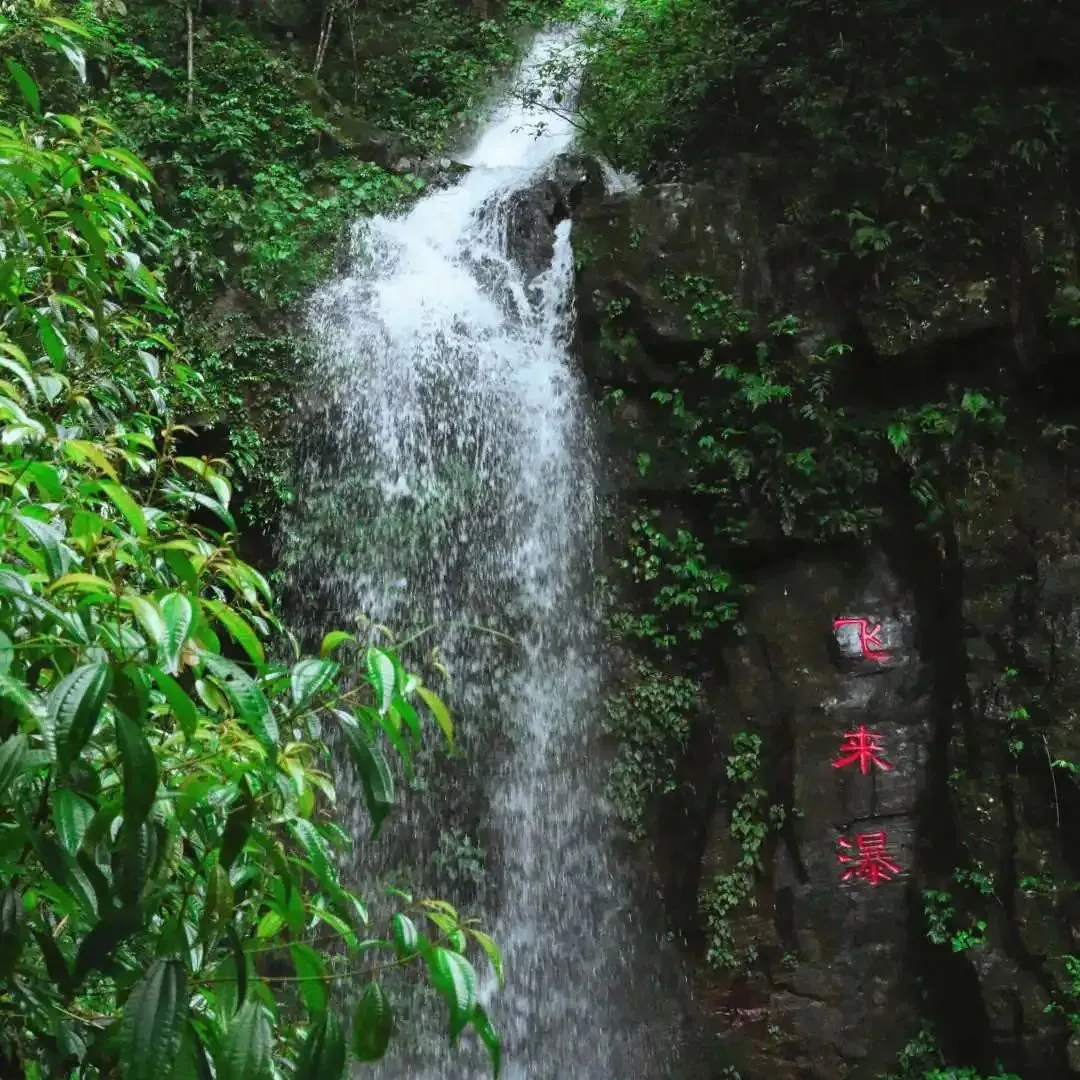牛姆林旅游路线_牛姆林要门票吗_牛姆林旅游攻略