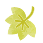 牛姆林旅游路线_牛姆林要门票吗_牛姆林旅游攻略