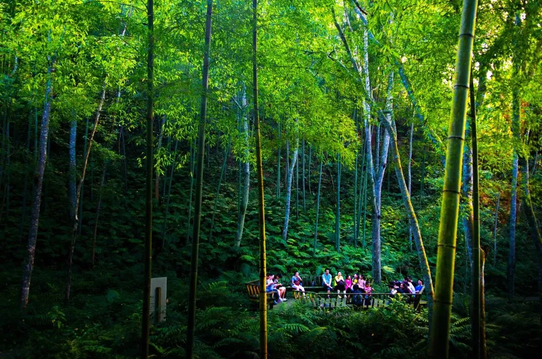 牛姆林要门票吗_牛姆林旅游攻略_牛姆林旅游路线