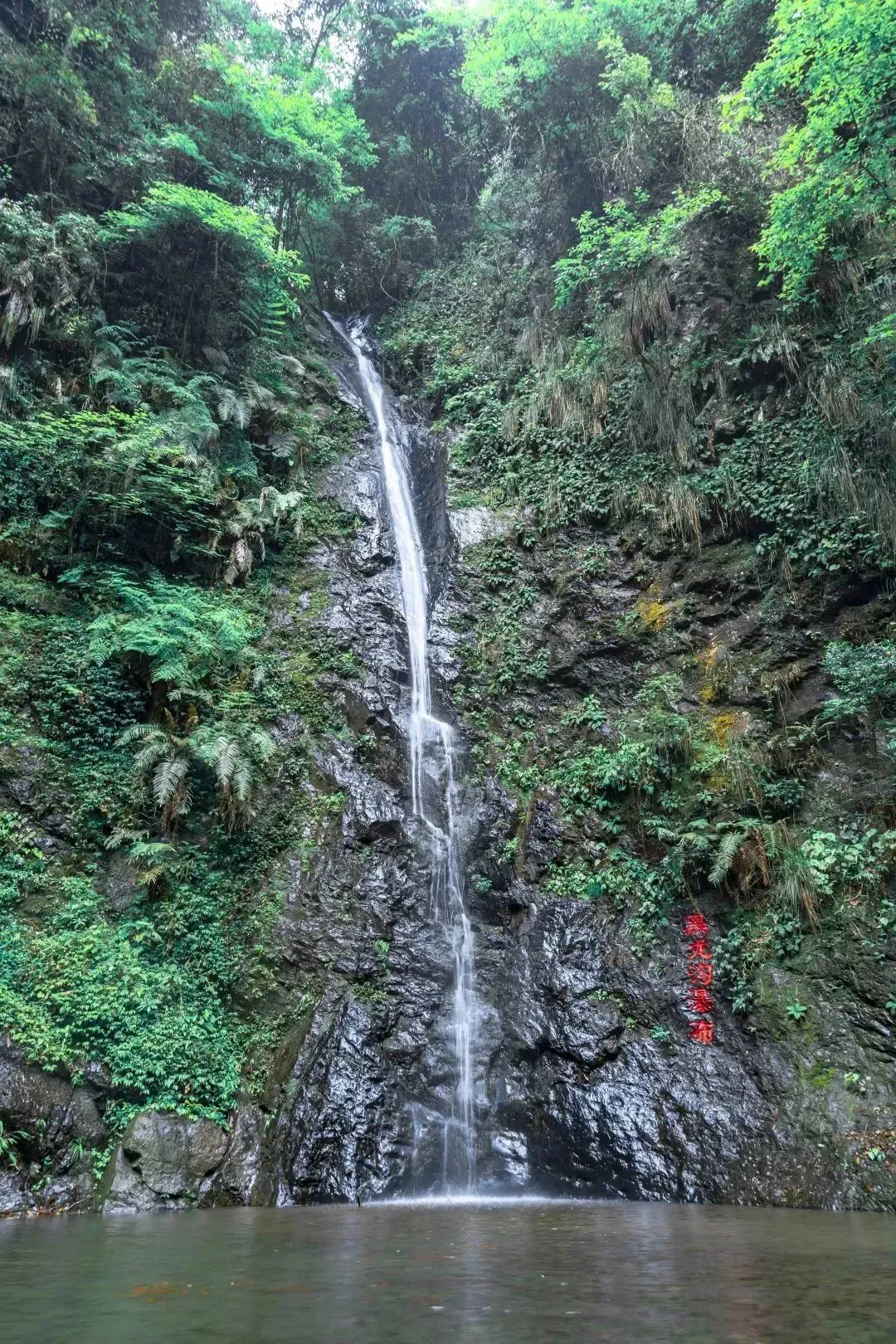 牛姆林旅游攻略_牛姆林要门票吗_牛姆林旅游路线