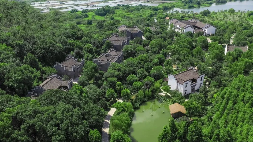 德清旅游攻略_德清游玩_德清旅游景点