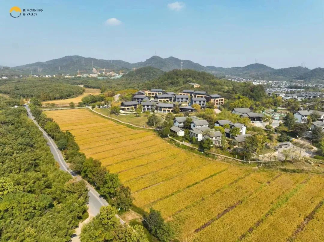 德清游玩_德清旅游攻略_德清旅游景点