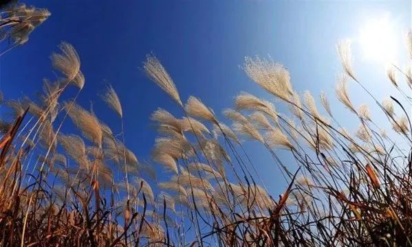 德清旅游攻略_浙江德清旅游一日游_德清旅游攻略一日游