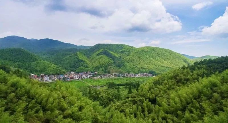 浙江德清旅游一日游_德清旅游攻略_德清旅游攻略一日游