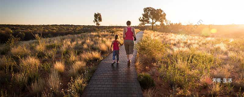 绿色出行的方式有哪些 什么是绿色出行(图1) 绿色出行的方式有哪些