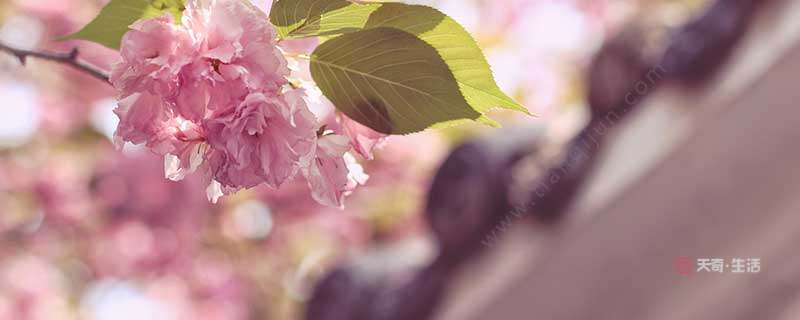 闰四月有啥讲究 闰四月有什么讲究(图1) 闰四月有啥讲究